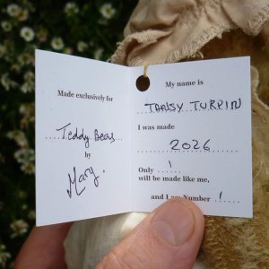 画像6: 1点もの☆ Tansy Turpin by Mary 21 cm（フォーゲットミーノット）