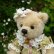 画像6: 1点もの ☆ Rose Garden Soap Box Bear by Sharon Barron 15cm（米） (6)