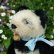 画像3: 15cm Steiff Panda 推定1951年〜1961年頃　（ビンテージ） (3)