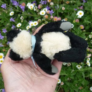 画像5: 15cm Steiff Panda 推定1951年〜1961年頃　（ビンテージ）