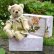画像1: 1点もの ☆ Rose Garden Soap Box Bear by Sharon Barron 15cm（米） (1)