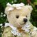 画像5: 1点もの ☆ Rose Garden Soap Box Bear by Sharon Barron 15cm（米） (5)