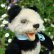 画像4: 15cm Steiff Panda 推定1951年〜1961年頃　（ビンテージ） (4)