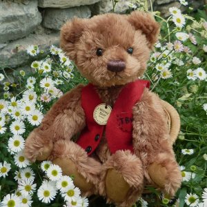画像1: 初登場☆【ウィットニー限定】ウィットニーベア・ブラウン 25cm
