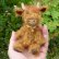 画像1:  1点もの☆　ハイランドカウのネッサ 14cm by Lynne Farmer（英） (1)