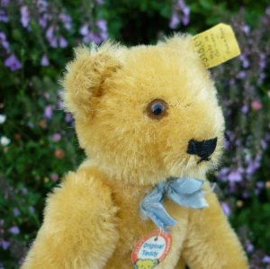 画像5: ID全てあり☆ Steiff Blond Original Teddy 15cm 推定1959年-1966年頃　（ビンテージ）