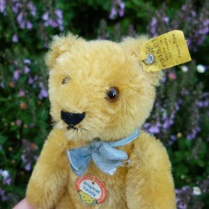 画像6: ID全てあり☆ Steiff Blond Original Teddy 15cm 推定1959年-1966年頃　（ビンテージ）