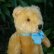 画像4: 大変良い状態です☆ Steiff Blond Original Teddy 22cm 推定1960年代　（ビンテージ） (4)