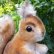 画像3: 大変貴重なお品です！ シュタイフ社アーカイブより 14cm Steiff Possy Squirrel 1967年　（ビンテージ） (3)