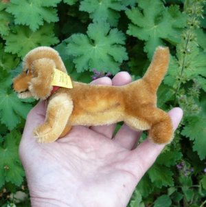 画像3: ID全てあり☆ 14cm Steiff Hexie Dachshund 1954-1967年頃　（ビンテージ）