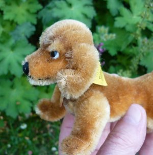 画像5: ID全てあり☆ 14cm Steiff Hexie Dachshund 1954-1967年頃　（ビンテージ）