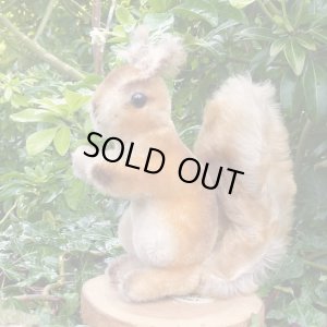 画像1: 大変貴重なお品です！ シュタイフ社アーカイブより 14cm Steiff Possy Squirrel 1967年　（ビンテージ）