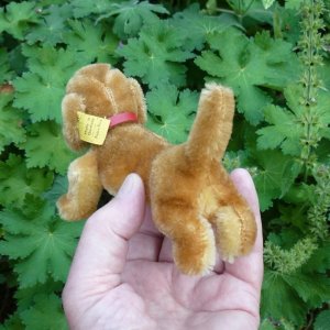 画像4: ID全てあり☆ 14cm Steiff Hexie Dachshund 1954-1967年頃　（ビンテージ）