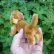 画像4: ID全てあり☆ 14cm Steiff Hexie Dachshund 1954-1967年頃　（ビンテージ） (4)