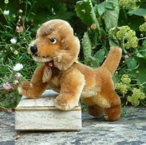 画像1: ID全てあり☆ 14cm Steiff Hexie Dachshund 1954-1967年頃　（ビンテージ）