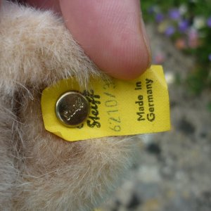 画像6: 大変貴重なお品です！ シュタイフ社アーカイブより Tapsy Bear Pale Beige 30cm 1980年〜1981年（ビンテージ）