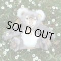 大変貴重なお品です！ シュタイフ社アーカイブより 27cm Steiff Cosy Koala 1970年　（ビンテージ）