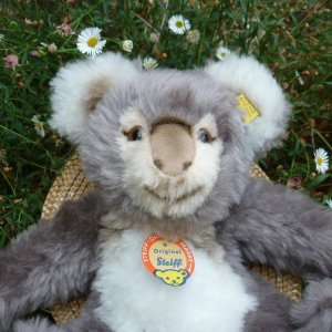 画像2: 大変貴重なお品です！ シュタイフ社アーカイブより 27cm Steiff Cosy Koala 1970年　（ビンテージ）