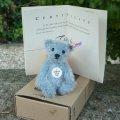 新品のような大変良い状態です☆ 2004年 シュタイフクラブ メンバーシップベア 7cm