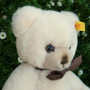 画像3: Steiff Petsy Teddy Bear cream 1989年〜1990年頃  28cm