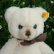 画像2: Steiff Petsy Teddy Bear cream 1989年〜1990年頃  28cm (2)