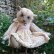 画像1: 1点もの☆ Maddie 45cm by Ali Jayne Creations （英） (1)