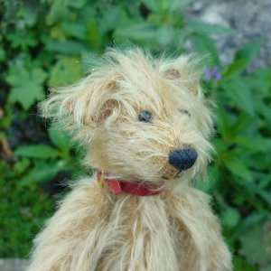 画像5: 1点もの☆　Monty by Lynne Farmer 12.5 cm by Lynne Farmer（英）