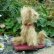 画像2: 1点もの☆　Monty by Lynne Farmer 12.5 cm by Lynne Farmer（英） (2)