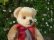 画像3: メリーソート ロンドンゴールド　25cm　画像ありA (3)