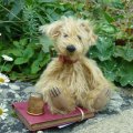 1点もの☆　Monty by Lynne Farmer 12.5 cm by Lynne Farmer（英）