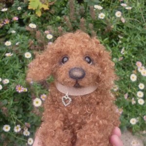 画像6: 1点もの☆ 犬のホンキー 17cm by Silvia Gilles （独）