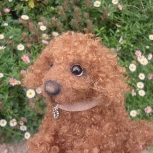 画像7: 1点もの☆ 犬のホンキー 17cm by Silvia Gilles （独）