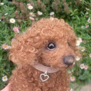 画像8: 1点もの☆ 犬のホンキー 17cm by Silvia Gilles （独）