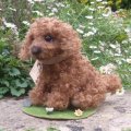 1点もの☆ 犬のホンキー 17cm by Silvia Gilles （独）