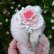 画像6: 1点もの☆ 加茂美智子さん作  Baby Pink 17cm (6)