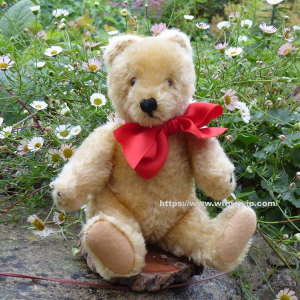 steiff original