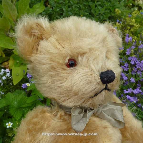 Chiltern Hugmee Teddy Bear Circa 1950s テディベア テディベアオブウィットニー テイクス Chiltern Hugmee Teddy Bear Circa 1950s テディベア テディベアオブウィットニー テイクス