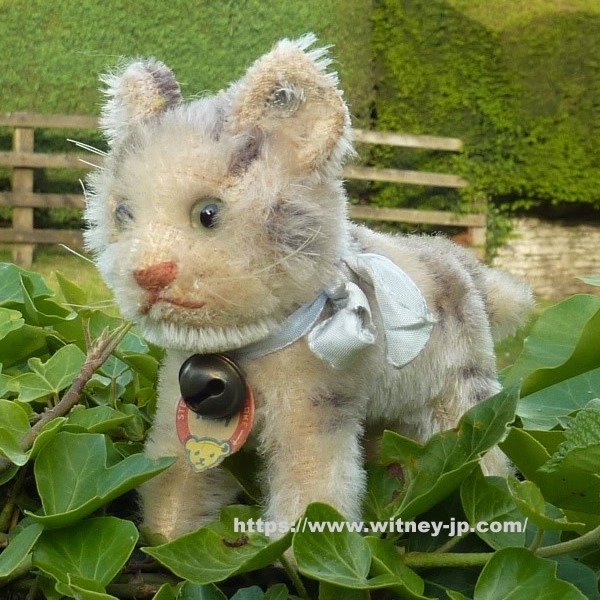 Steiff Tabby Cat Circa 1950s 60s Teddy Bears Of Witney テイクス