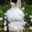 画像5: クレメンス社  ウサギのウィルコ 18cm