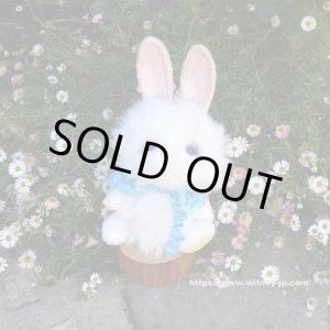 画像: 残り1体☆ クレメンス社  ウサギのウィルコ 18cm   12番