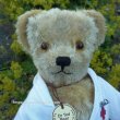 画像5: 数体のみ再入荷しました☆　【ウィットニー限定】ドクター テッドベア 29cm