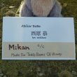 画像7: 西原 恭さん作 フレンチブルの「Mikan」ちゃん 14cm 4番