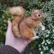 画像4: Steiff Perri Squirrel 16cm 推定1960年代 （ビンテージ）