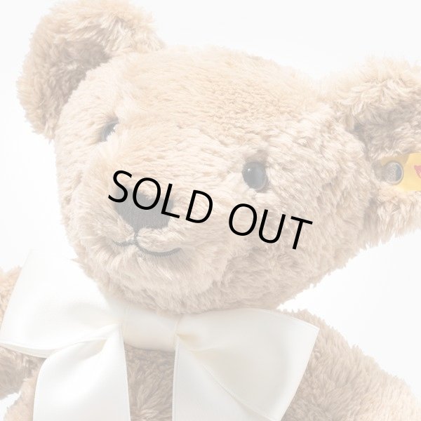 画像3: 【送料無料】2025年新作☆ シュタイフ  コージーイヤーベア 2025 34cm 