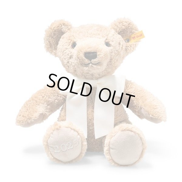 画像1: 【送料無料】2025年新作☆ シュタイフ  コージーイヤーベア 2025 34cm 