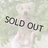 画像: ウィットニー40周年記念☆ メリーソート　【ウィットニー限定】 ティミー 20cm 57番