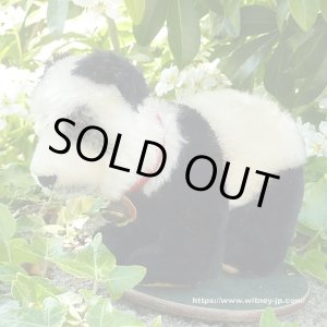 画像: エクセレントコンディション☆ 12cm Steiff Panda Cub on All Fours　1955年-1958年頃　（ビンテージ）