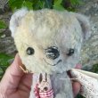 画像3: 1点もの☆ Rabbit Loving Cuddle Bear 17cm by 加藤日砂