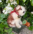 画像1: 10cm Steiff Molly Puppy 推定1959年〜1967年頃　（ビンテージ）