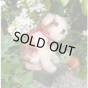 画像: 10cm Steiff Molly Puppy 推定1959年〜1967年頃　（ビンテージ）